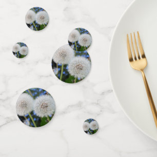 blue, buttercup, plant, dandelion, meadow, white, confetti