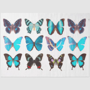 Blue Butterflies Butterfly Collection Decoupage Tissue Paper