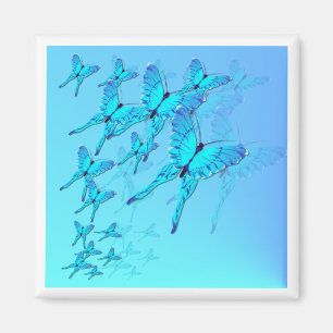 Blue Butterflies Magnet