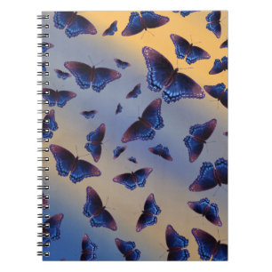 Blue Butterflies Sunrise Notebook