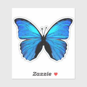 Blue butterfly