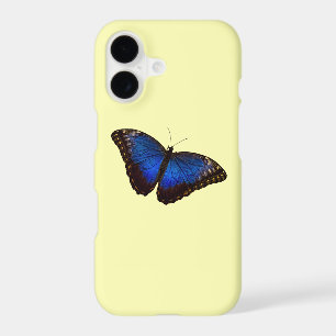 Blue Butterfly