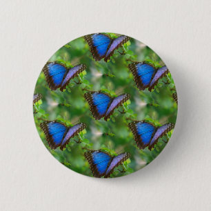 Blue Butterfly 2 Inch Round Button