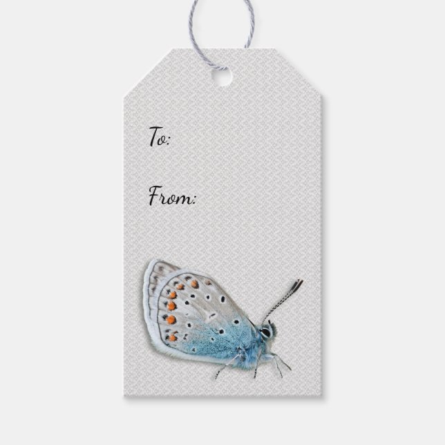 Blue Butterfly All Occasion Gift Tag (Front)