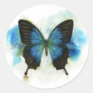 Blue Butterfly Any Occasion Stationery Classic Round Sticker