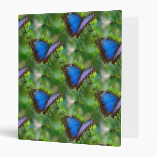 Blue Butterfly Binder