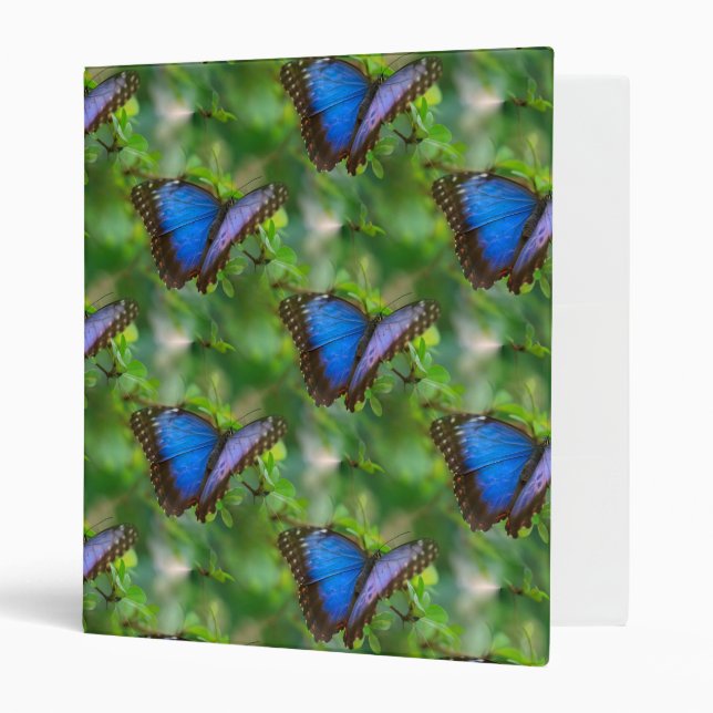 Blue Butterfly Binder (Front/Inside)