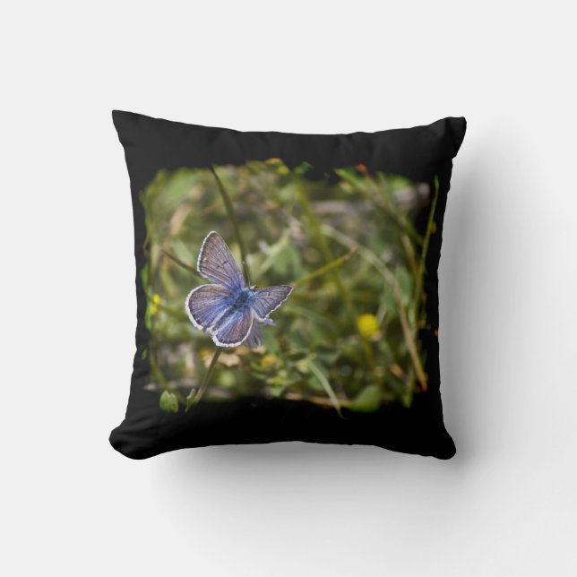 Blue Butterfly Black Edge Throw Pillow (Front)