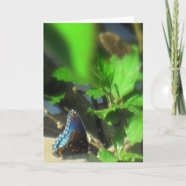 Blue Butterfly Card (Front)