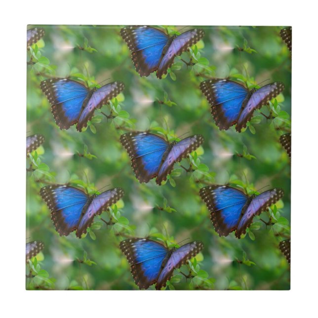 Blue Butterfly Ceramic Tile (Front)