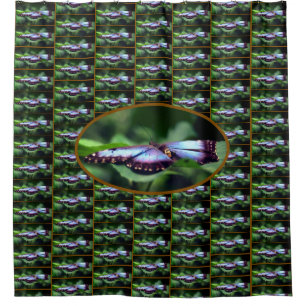 Blue Butterfly Close Up Nature Pattern   