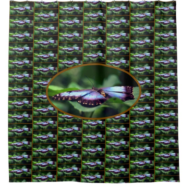 Blue Butterfly Close Up Nature Pattern    (Front)