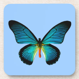 Blue Butterfly Coasters