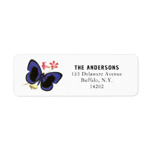 Blue Butterfly Elegant Insect Art Return Address