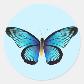 Blue  Butterfly Envelope Seals