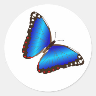 Blue Butterfly Envelope Seals Stickers