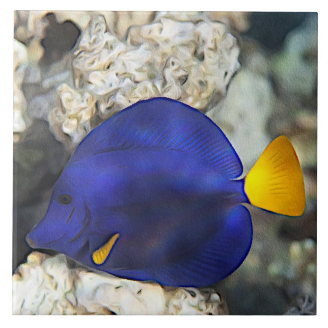 Blue Butterfly Fish Coral Reef Ocean Fish Tile (Front)