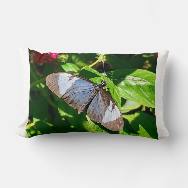 Blue Butterfly Image Pillow (Front)