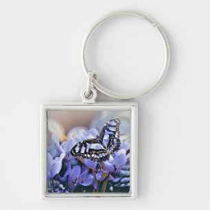 Blue Butterfly Keychain