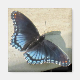 Blue Butterfly Magnet