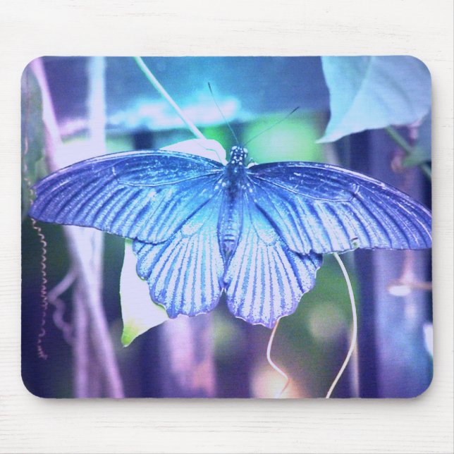 Blue Butterfly Mouse Pad (Front)