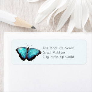 Blue Butterfly Nature Art, Fine Photo Illustration