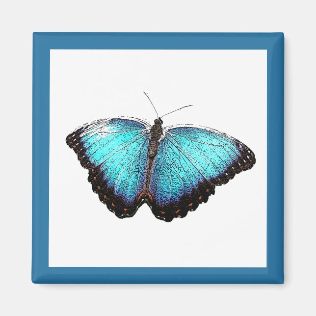 Blue Butterfly Nature Art, Fine Photo Illustration Magnet (Front)
