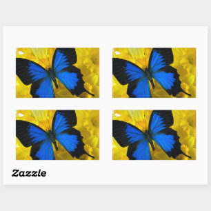 Blue butterfly on daffodils sticker