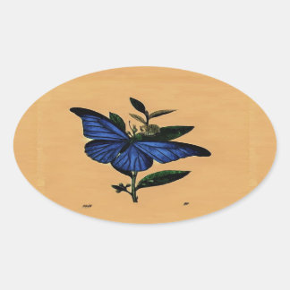 Blue Butterfly Oval Sticker