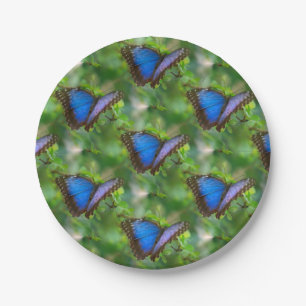 Blue Butterfly Paper Plate