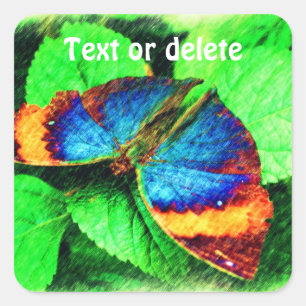 Blue Butterfly Pencil Art Personalized Square Sticker
