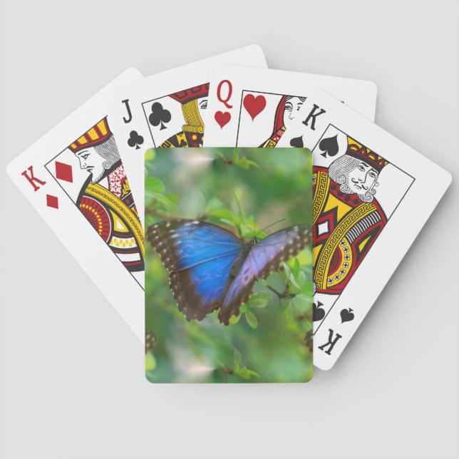 Blue Butterfly Playing Cards (Back)