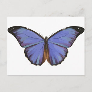 Blue Butterfly Postcard
