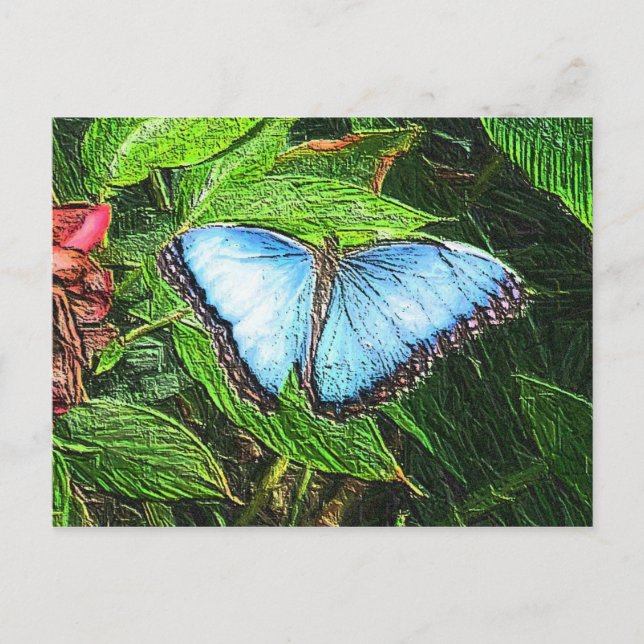 Blue Butterfly Postcard (Front)