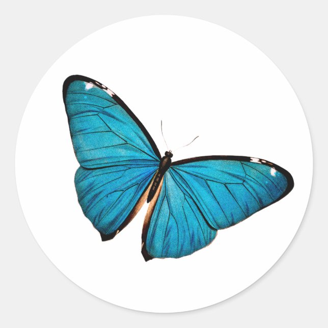 Blue Butterfly Round Sticker (Front)