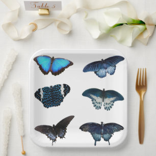 Blue Butterfly’s paper plates