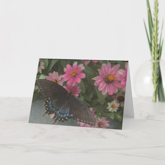 blue butterfly  thank you card (Front)