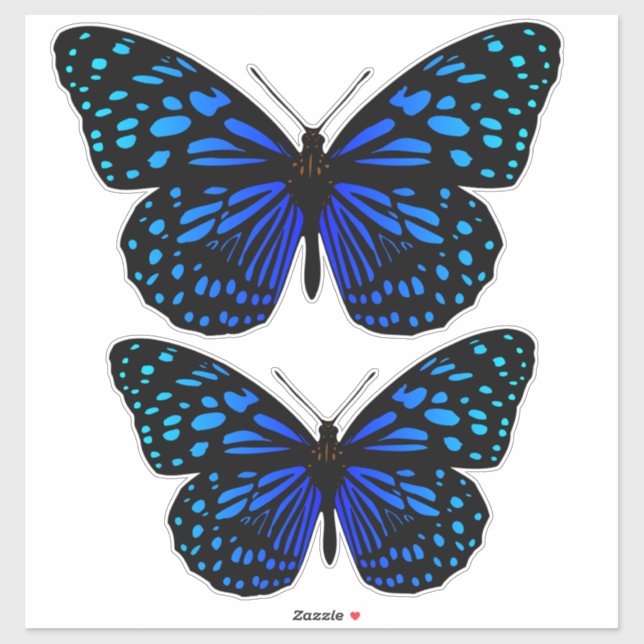 Blue butterfly Thunder_Cove (Sheet)