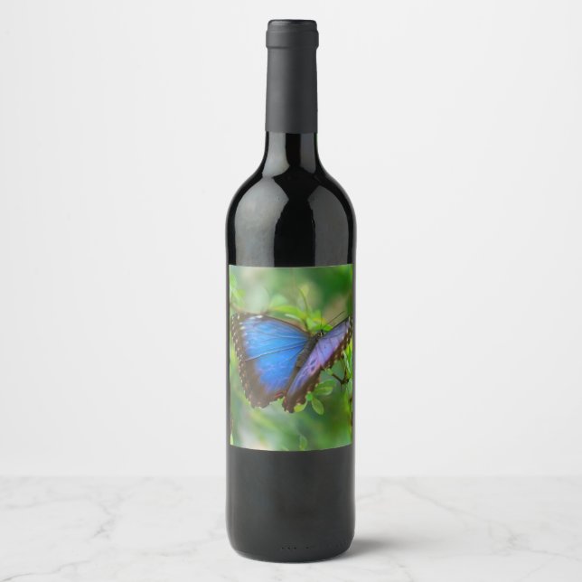 Blue Butterfly Wine Label (Front)