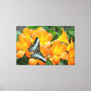 Blue butterfly with Tropical Rhododendron Canvas Print