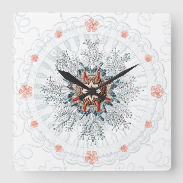 Blue button jellyfish and sea stars Wall Clock (Front)