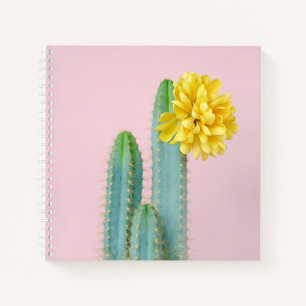 Blue Cactus Trio Notebook