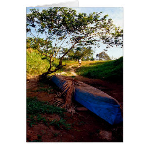 Blue Canoe and Tino, too