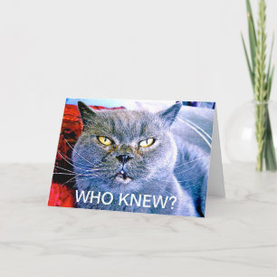 Blue Cat 60th Birthday Card