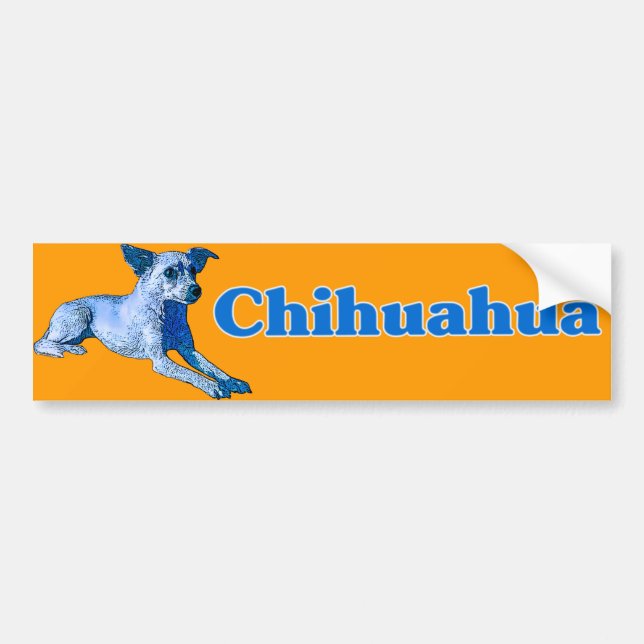 Blue Chihuahua Bumper Sticker (Front)