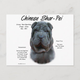 Blue Chinese Shar Pei History, Sharpei, Shar-pei Postcard