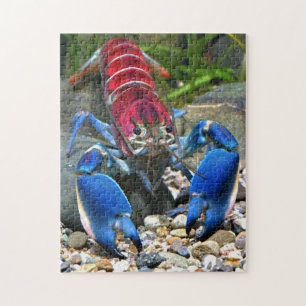 Blue clawed lobster puzzle