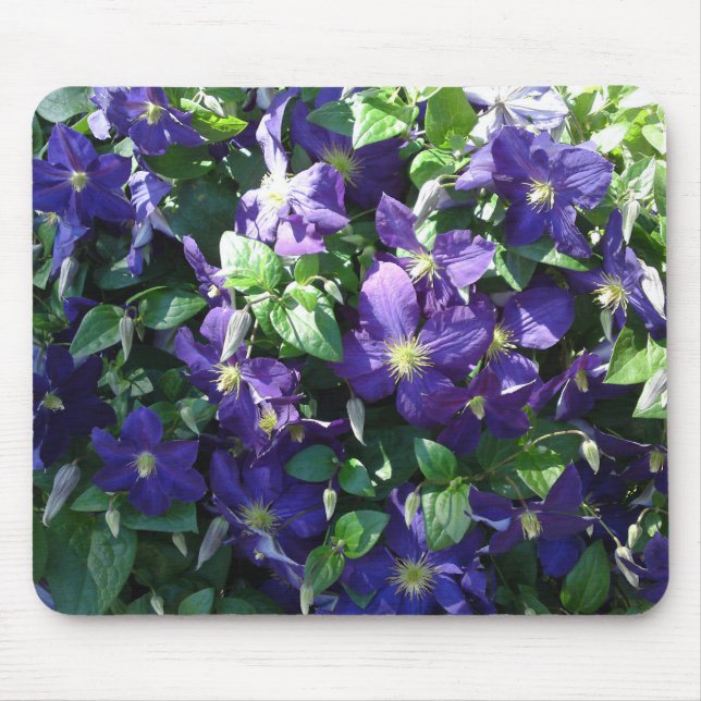 Blue Clematis Mouse Pad (Front)
