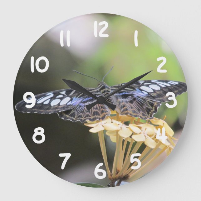 Blue Clipper Butterfly Large Clock (Front)
