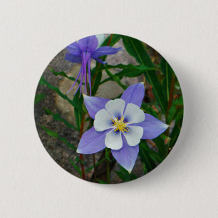 Blue columbine 2 inch round button